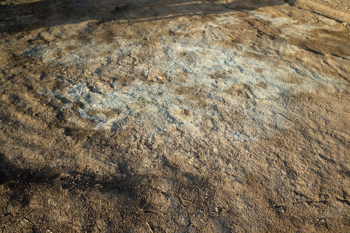 massengrab-kocho-sindschar-irak