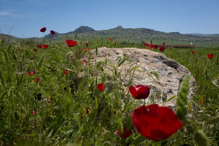 sinjar-mountain-iraq